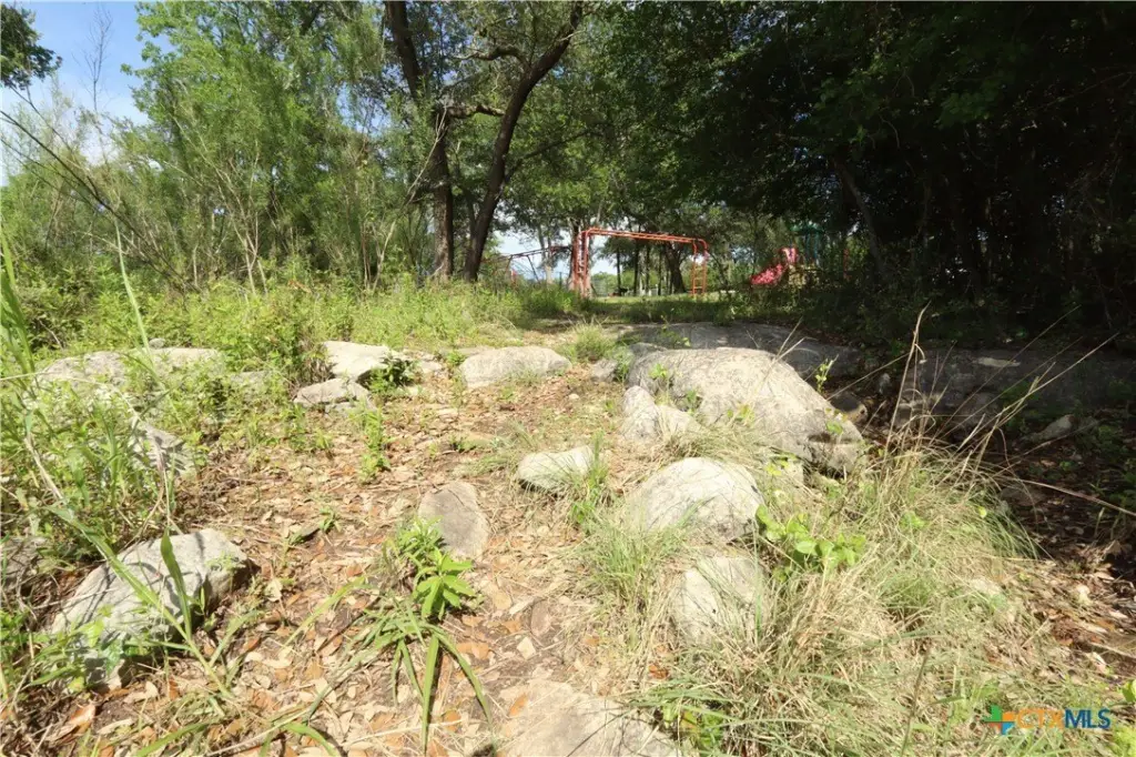 Picture 45