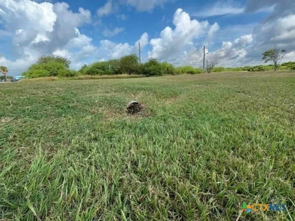 Picture 6