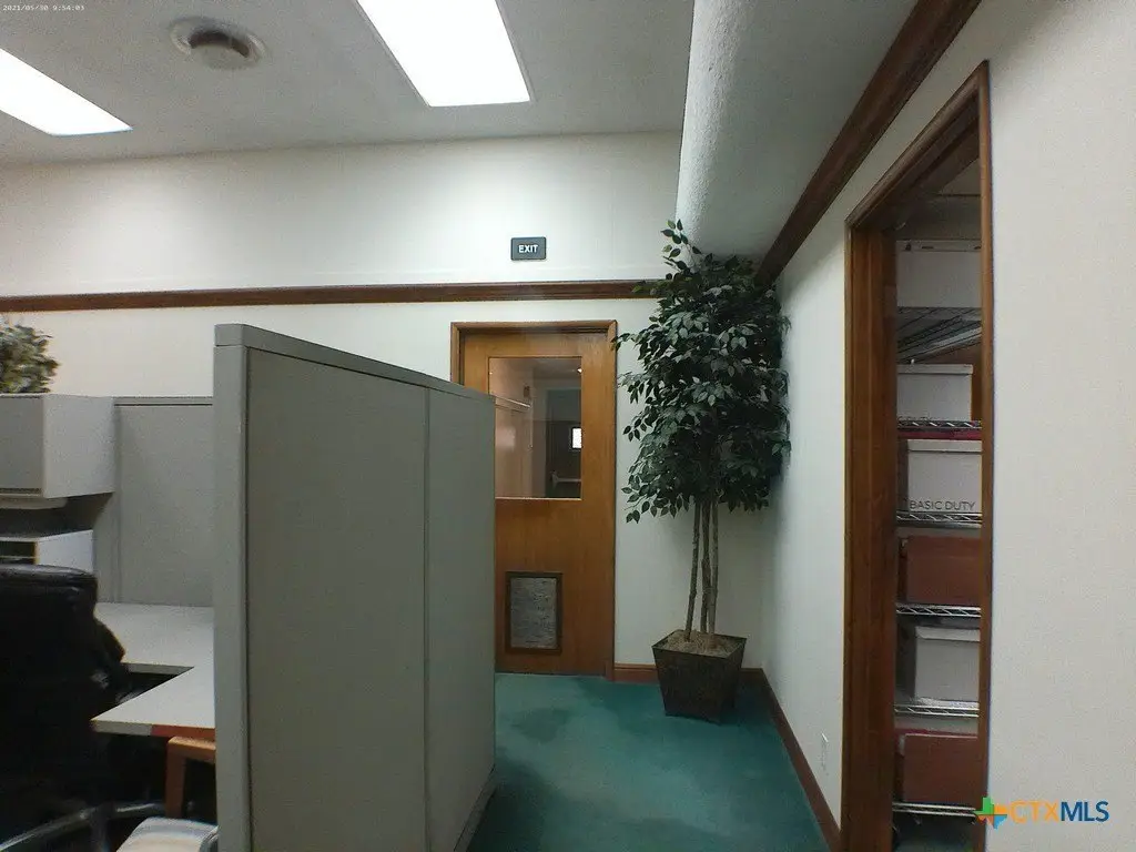 Picture 21