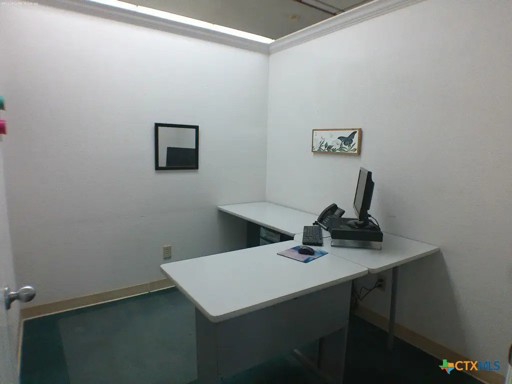 Picture 11