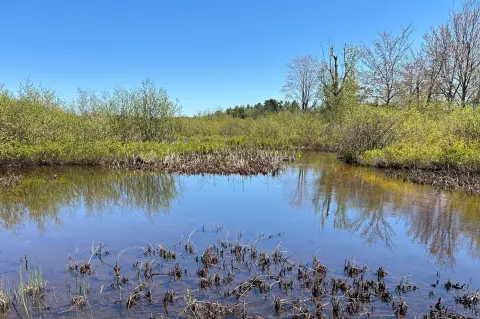 Waterfront Lot on Carp River