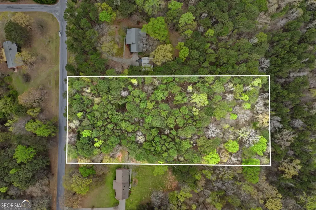 Picture 4