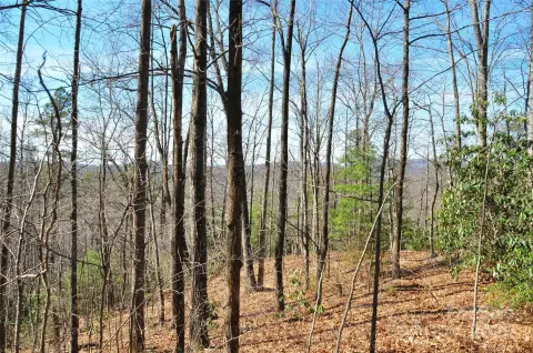 Land in Hendersonville, NC