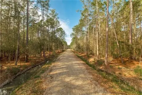 Secluded Covington Land Tract