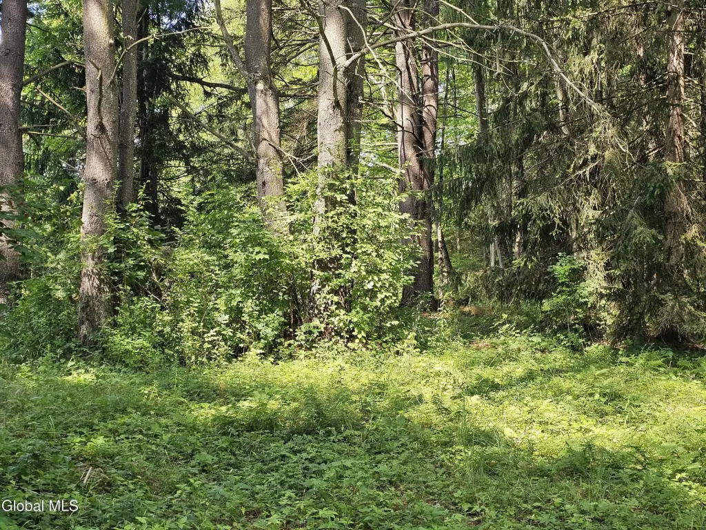 Picture 27
