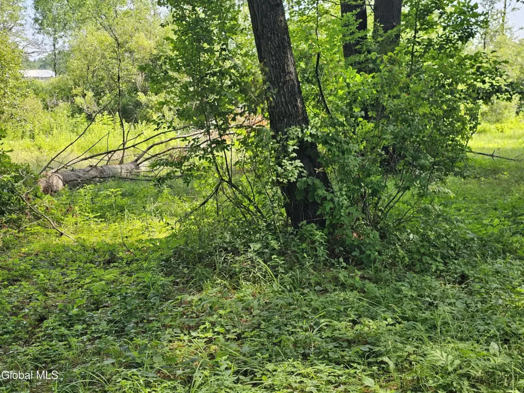 Picture 28