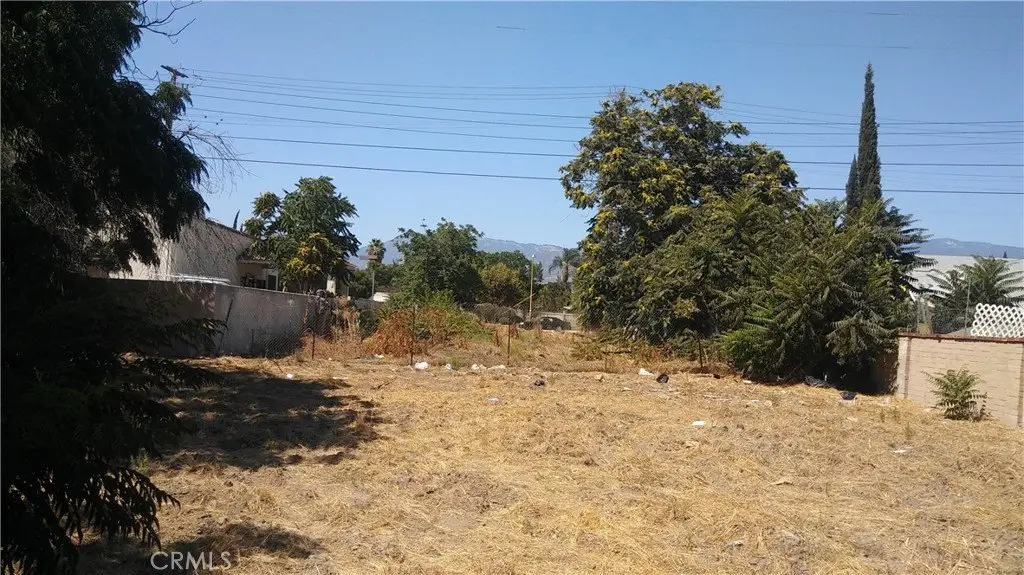Picture 3
