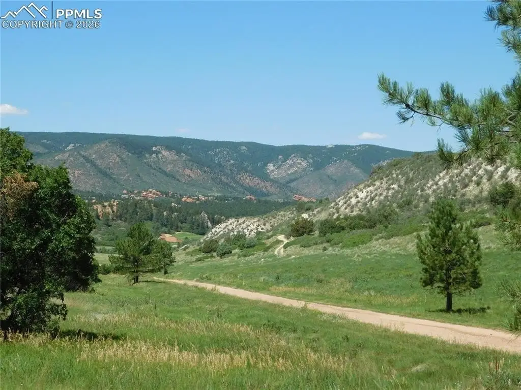 Picture 26