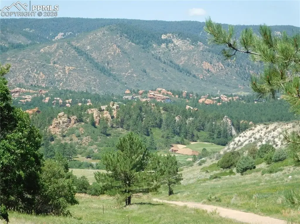 Picture 29