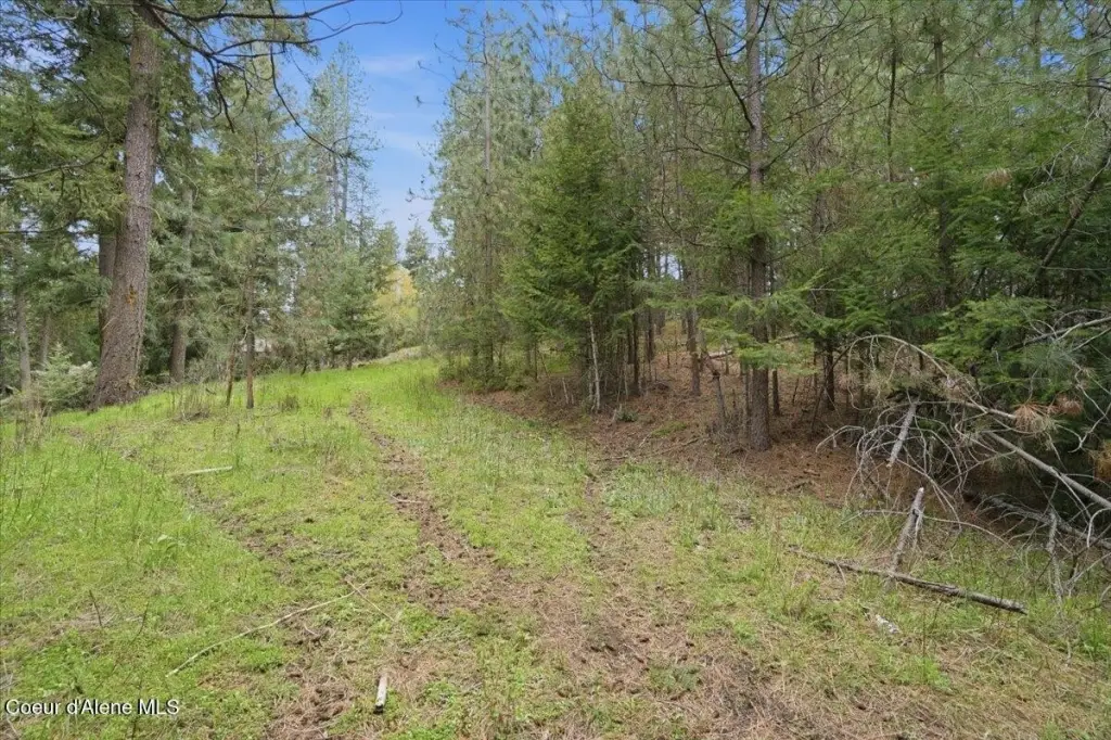 Picture 2