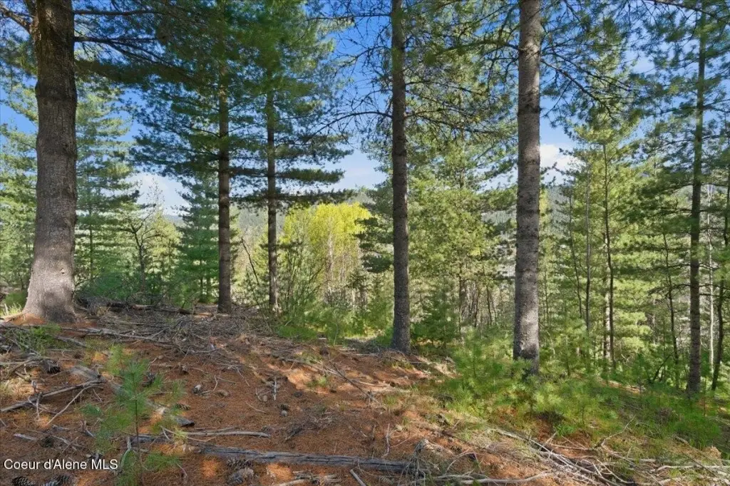 Picture 4