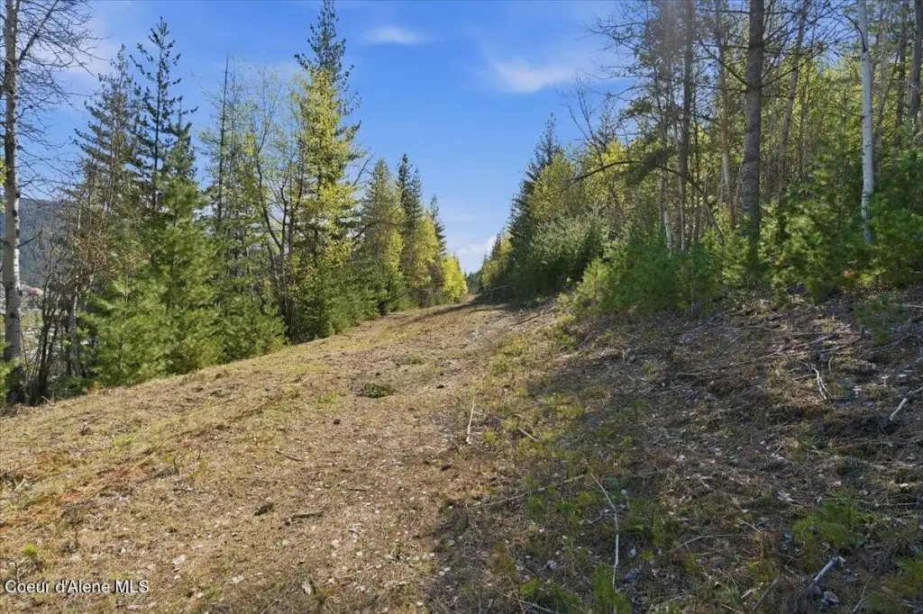 Picture 20