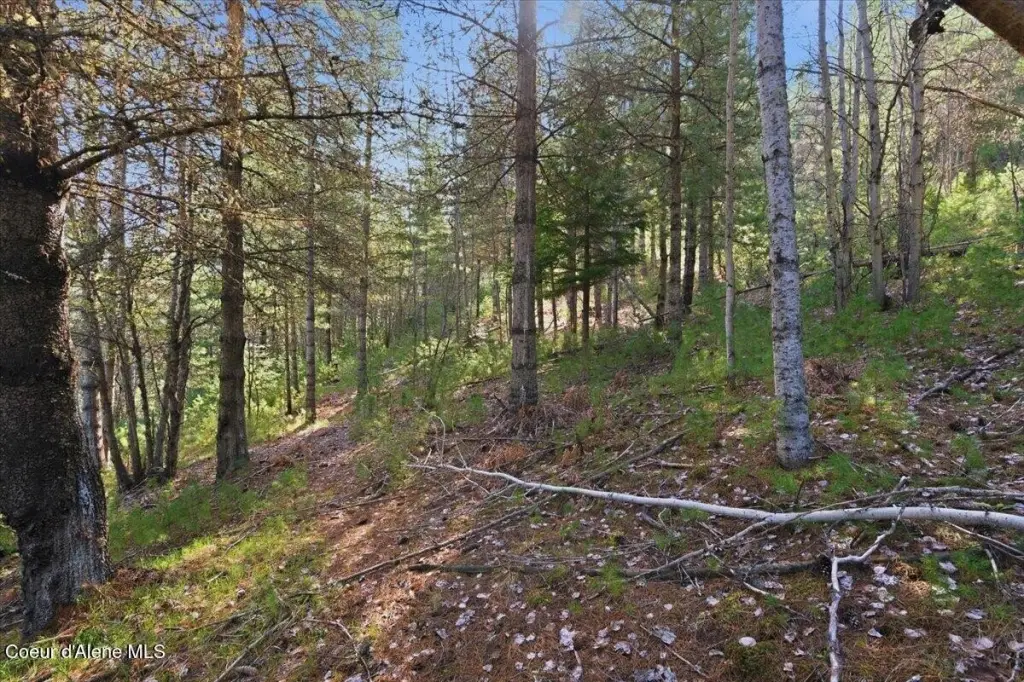 Picture 8