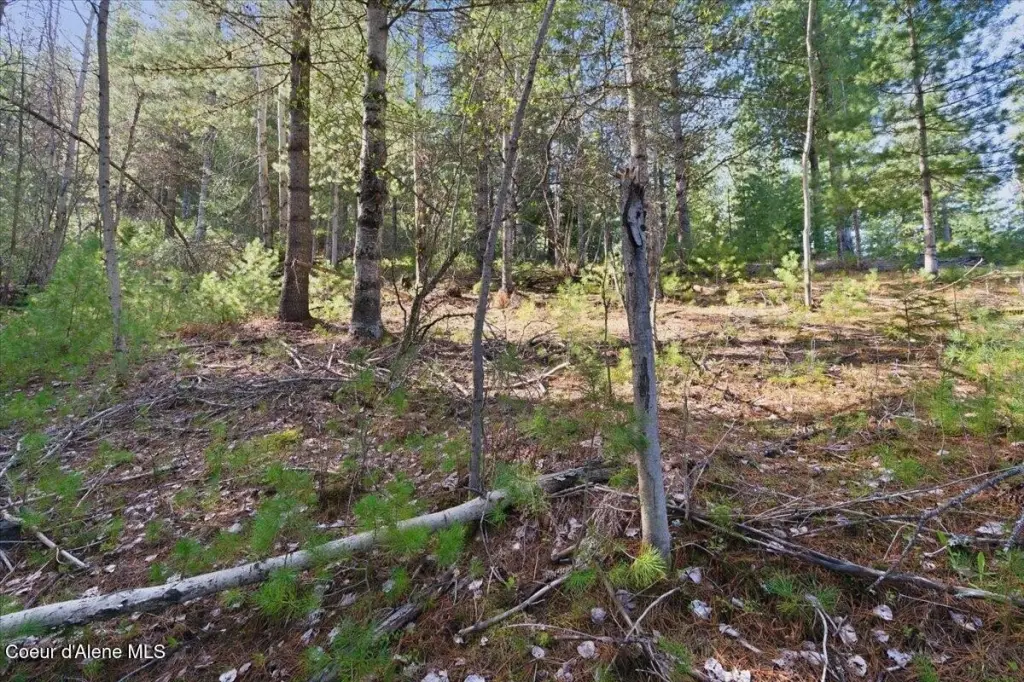 Picture 18