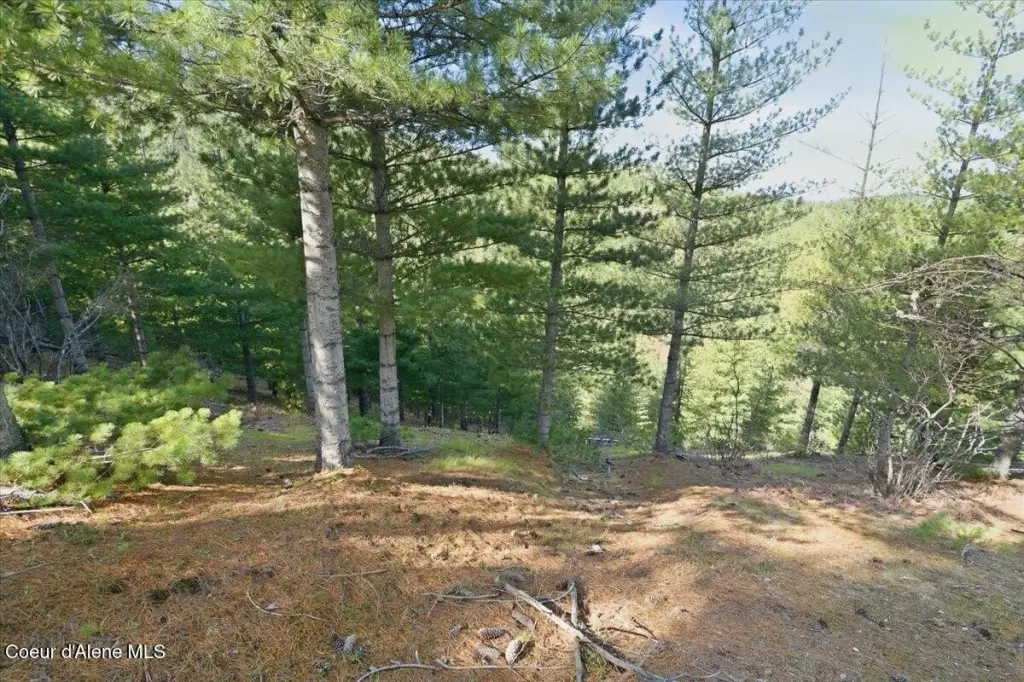 Picture 19