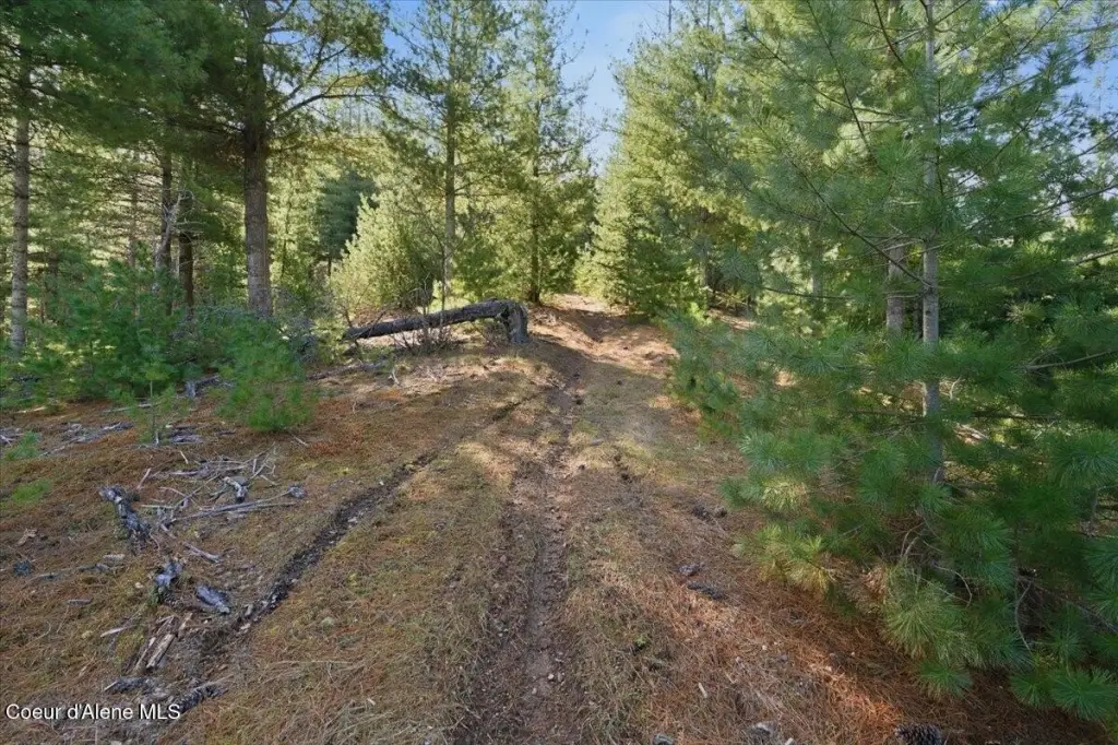 Picture 7