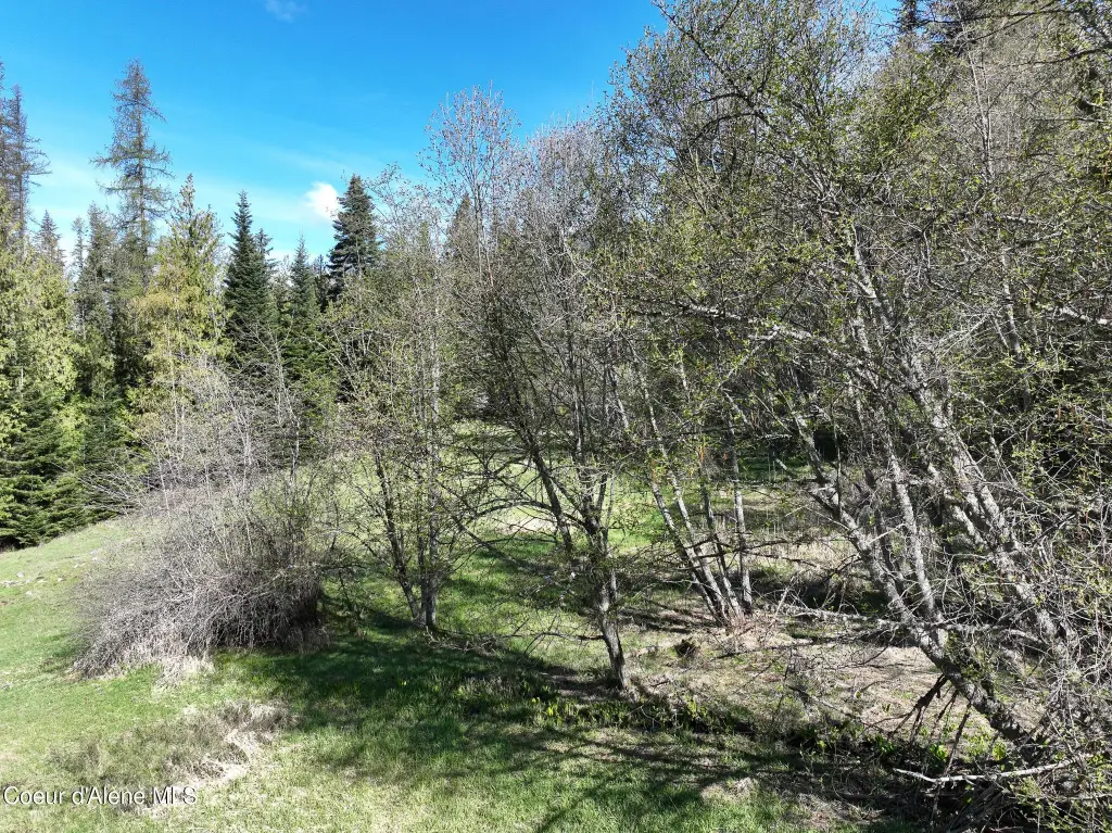 Picture 38