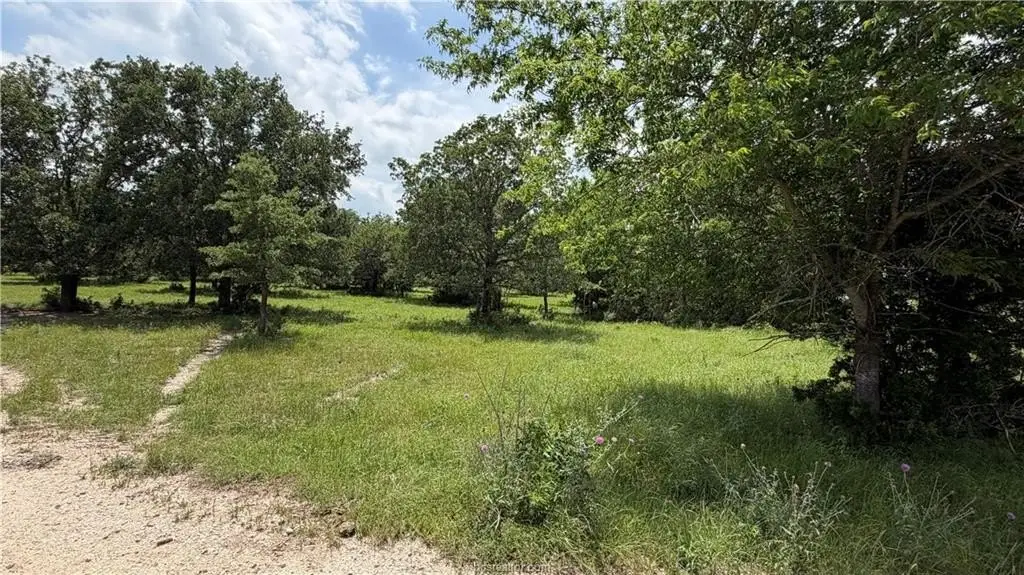 Picture 12