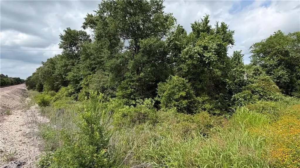Picture 18