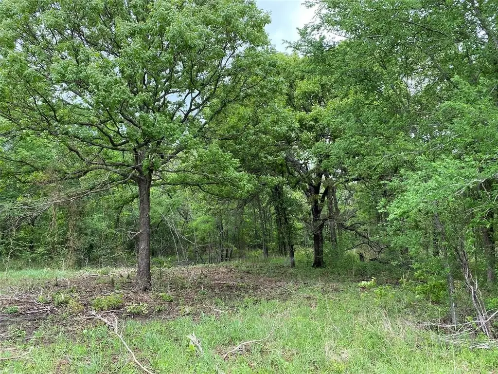 Picture 19