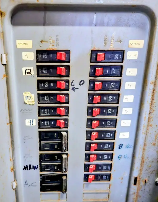 Picture 6