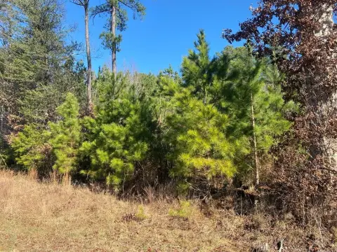 Farnham Land for Hunting, Farming