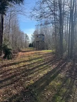 Heathsville Land Ready to Build