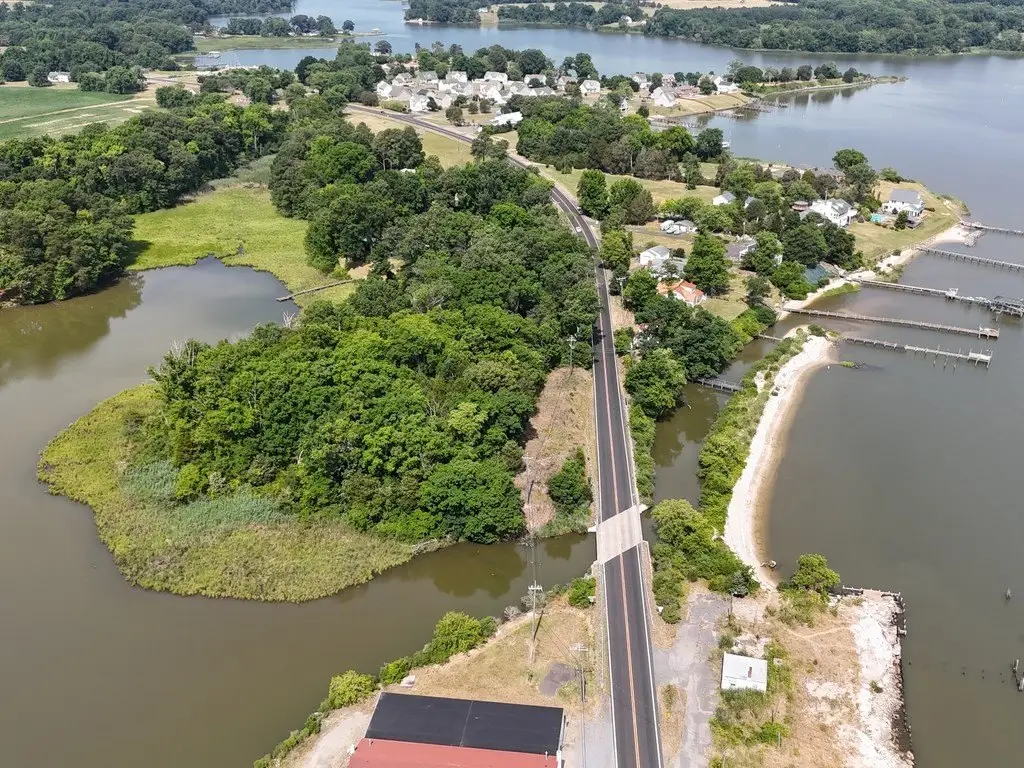 Picture 2