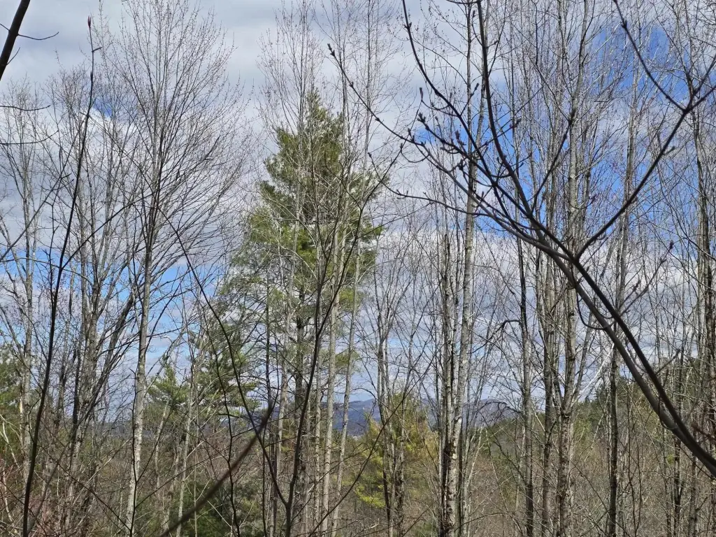 Picture 3
