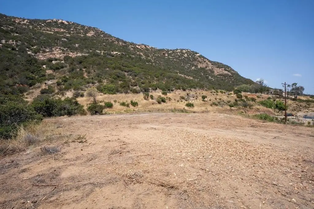 Picture 27