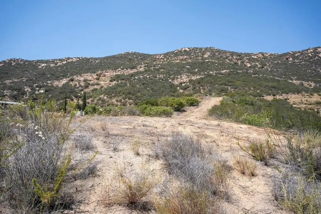 Picture 38
