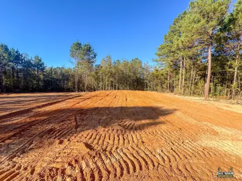 Hughes Springs Vacant Land