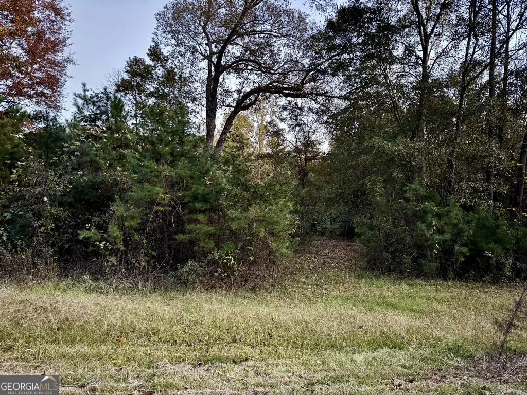 Picture 9