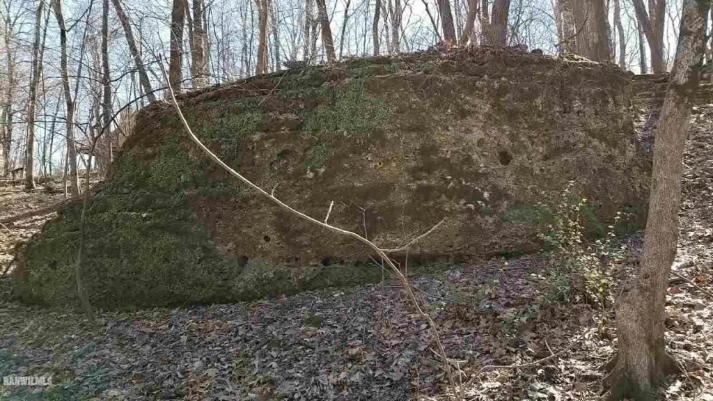 Picture 5