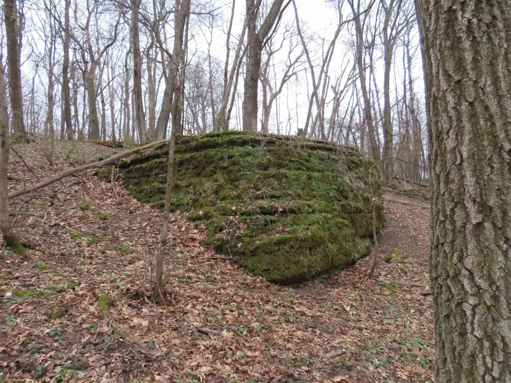 Picture 6