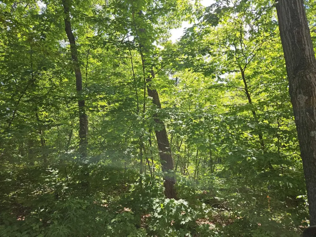 Picture 4