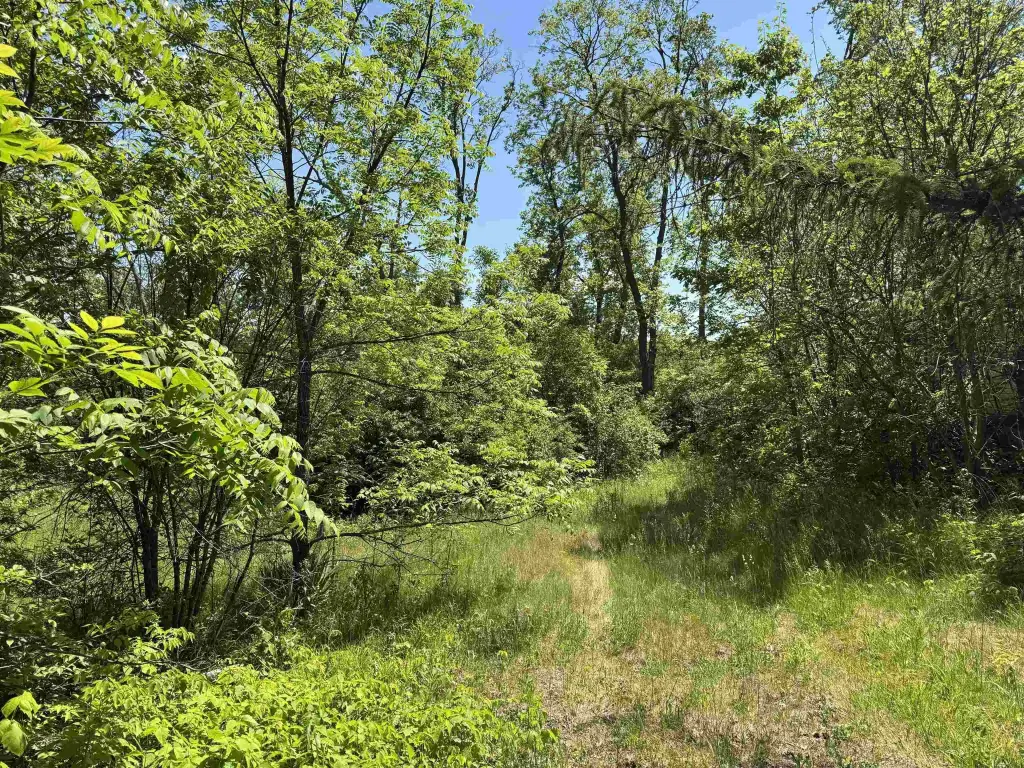 Picture 4