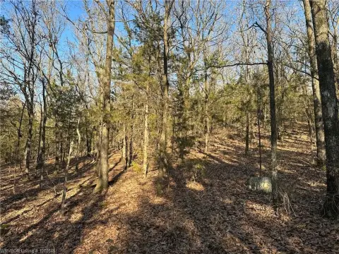 Heavener, OK Residential Land