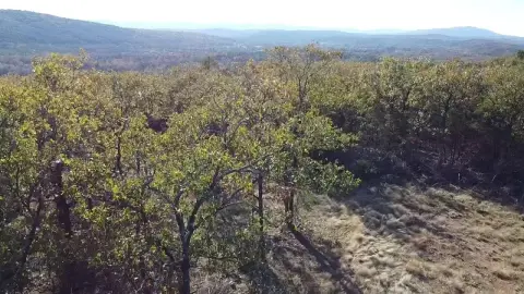 74.9 Acres Bordering National Forest