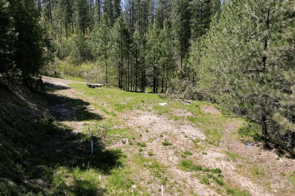 Picture 17