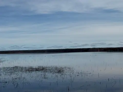 Engadine Waterfront Land for Sale