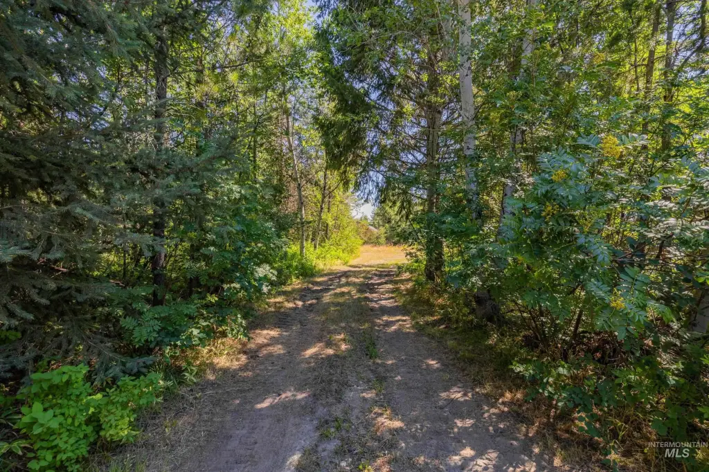 Picture 19
