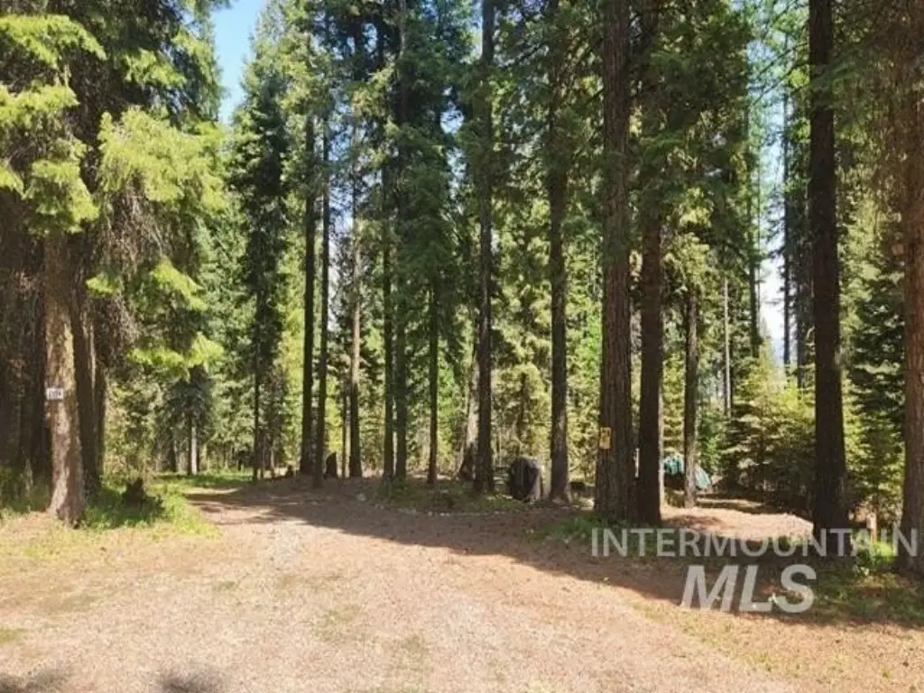 Picture 11