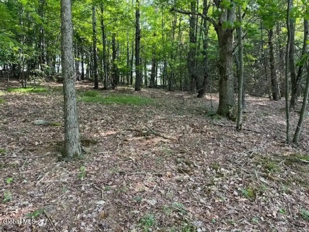 Picture 12