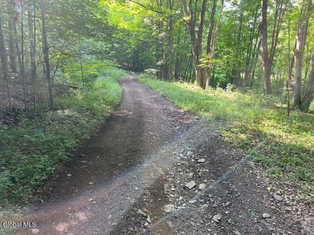 Picture 2