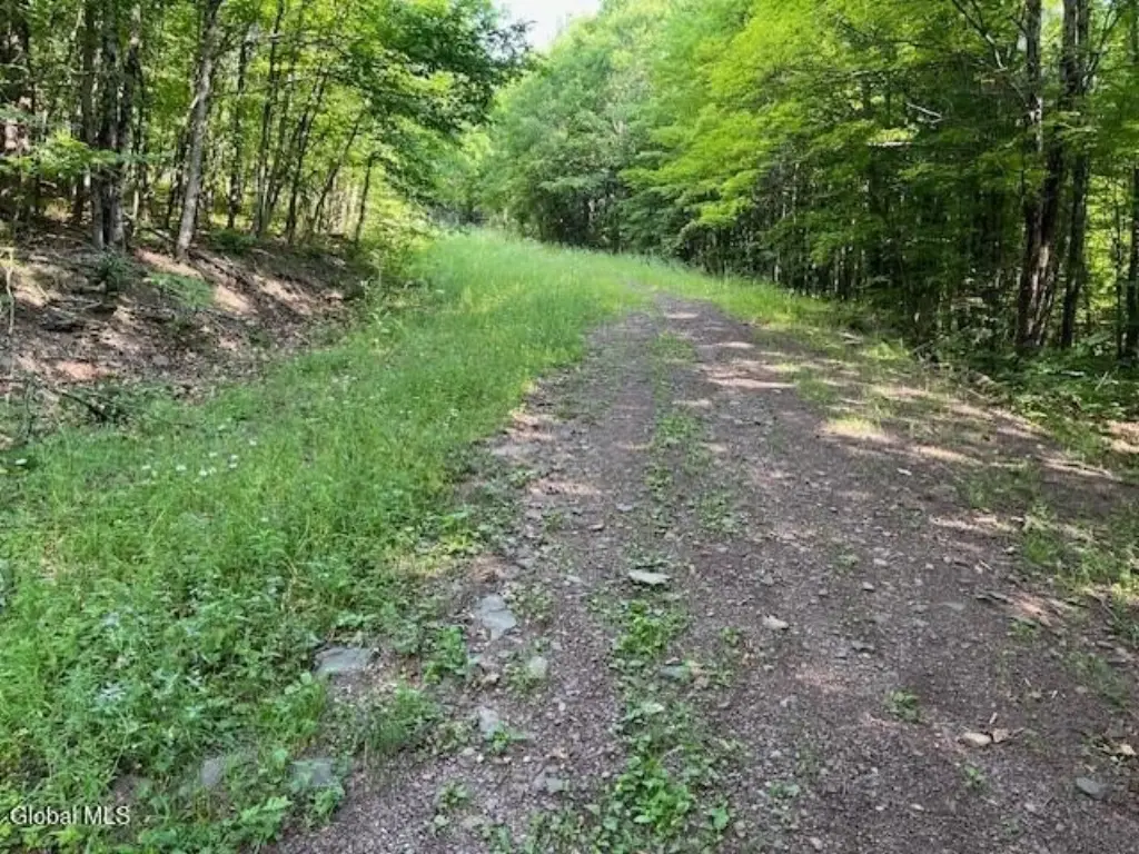 Picture 15
