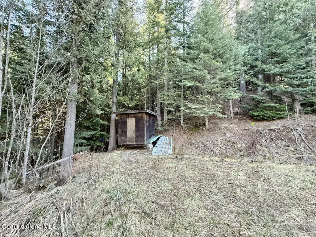 Picture 11