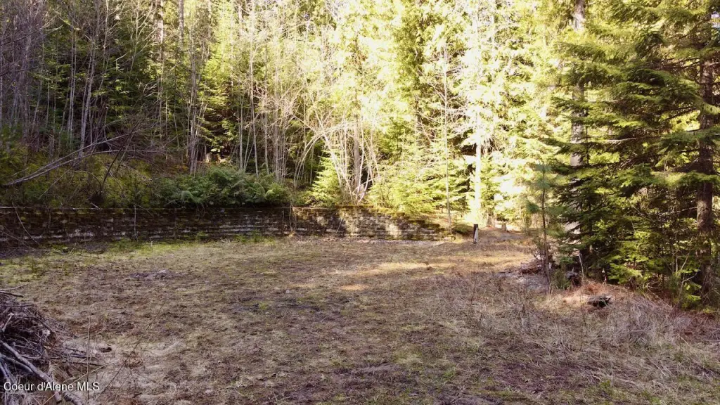 Picture 13