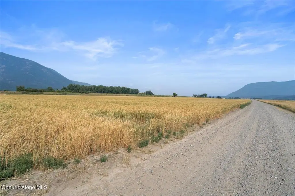 Picture 26