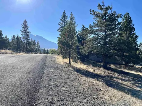Land with Lake Shastina Views
